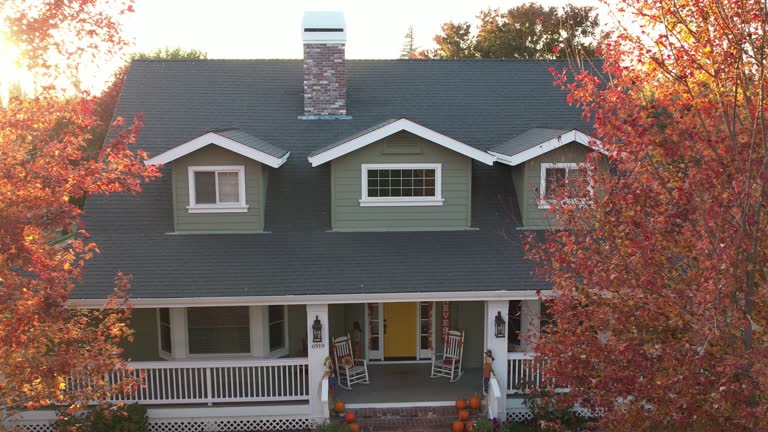 Best Roof Moss and Algae Removal  in Rutherford, TN